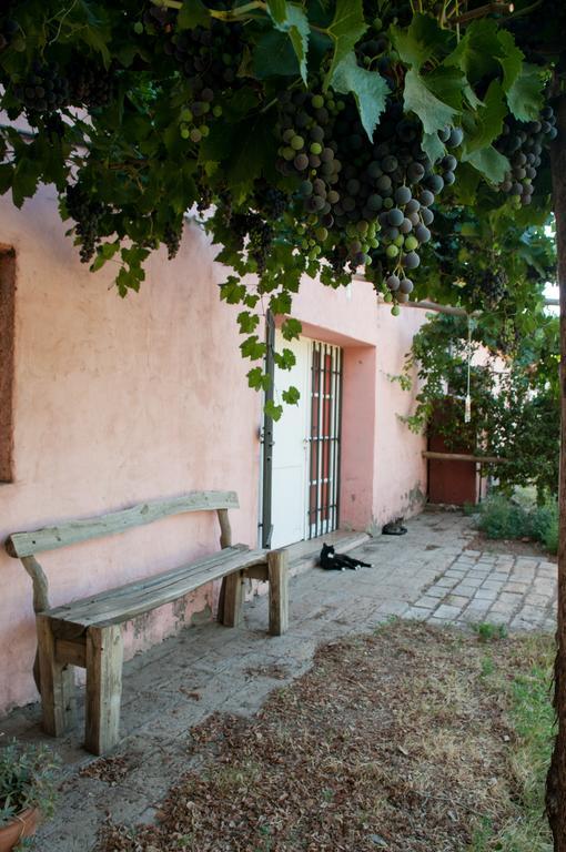 Hosteria Rural Viejo Roble San Rafael  Exterior foto